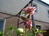 100_1545.webp