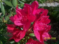 100_1538.webp
