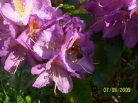 100_1540.webp