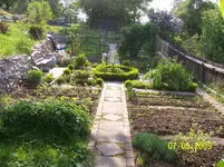 100_1532.webp