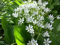 Mai 004.webp