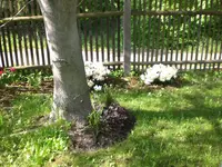Mai 017.webp