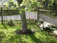 Mai 019.webp