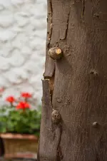 Bild_3.webp