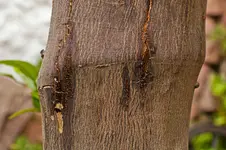 Bild_4.webp