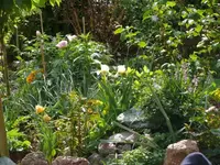P1050571_600_450.webp