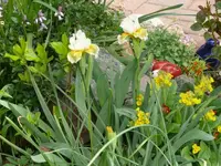 P1050513_600_450.webp