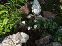 k-P1010270.webp
