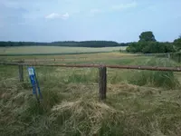 Foto1002.webp