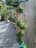 Stick12_6.webp