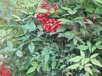 015.webp