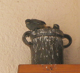 rotschwänzchen vor dem abflug.webp