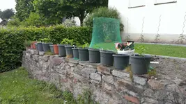 2013-06-12 18.17.43.webp