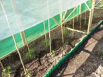 20130612_175317.webp