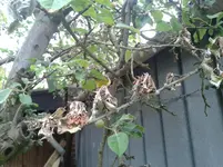 2013-06-12 19.23.20.webp