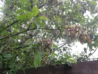 2013-06-12 19.22.59.webp