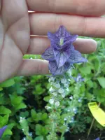 CIMG5787.webp