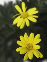 DSC04196.webp