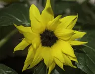 DSC04205.webp