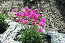 DSC_7291.webp