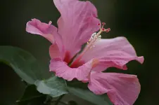 _DSC1828.webp