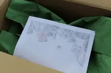 Danke Ihr Lieben Fußballer 3.webp