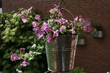 001.webp