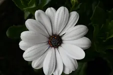 014.webp