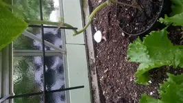 2013-06-13 18.22.19.webp