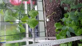 2013-06-13 18.22.26.webp