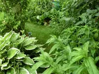 CIMG3536.webp
