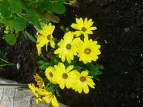 P1060476.webp