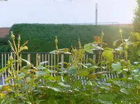 P1060444.webp