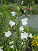 DSCN2202.webp