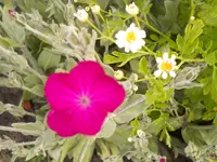 DSCN2207.webp