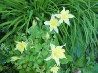 CIMG5894.webp