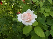 CIMG5893.webp