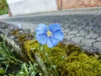 CIMG4917.webp