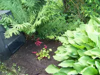 003.webp