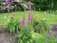 023.webp