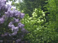 BILD2089.webp