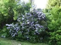 BILD2099.webp
