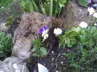 BILD2087.webp