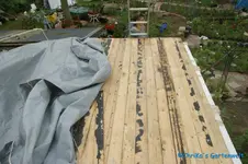 comp_DSC09635.webp