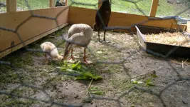 2013-06-14-1812.webp