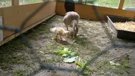 2013-06-14-1827.webp