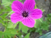 DSCN2188.webp