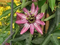002.webp