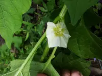 20130615_112411.webp