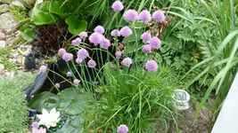 P1040837.webp